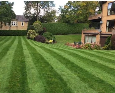 Immaculate striped lawn with manicured hedging and planted borders