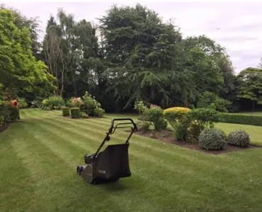 Precision lawn mowing with stripe finish in a large mature garden