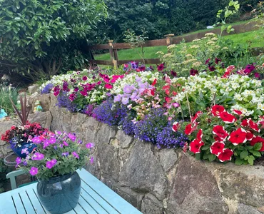 Colourful flower border on a stone retaining wall in a well-kept garden