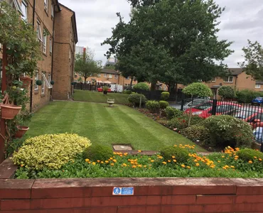 Community grounds maintenance with striped lawn and planted borders