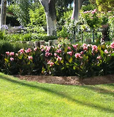 Regular garden maintenance and soft landscaping service