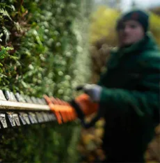 Landscape design service