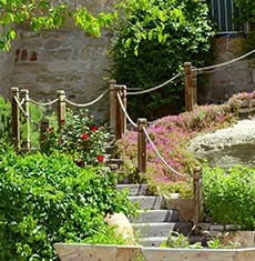 Ongoing garden care and maintenance service