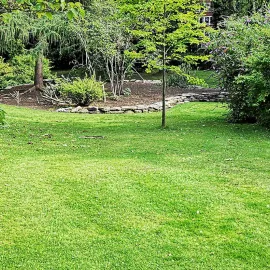 Lawn turf installation service